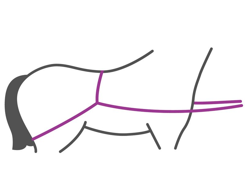 Lastehjelp for hest til henger