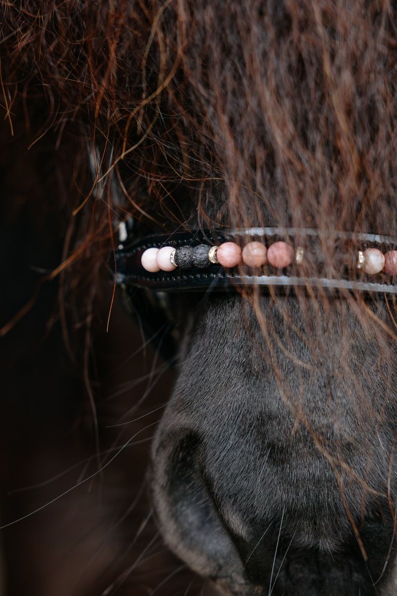 Top Reiter Orka lav nesereim - Rosa