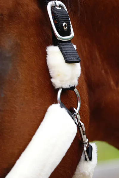 Hovedbilde SE Design Transport grime med pus