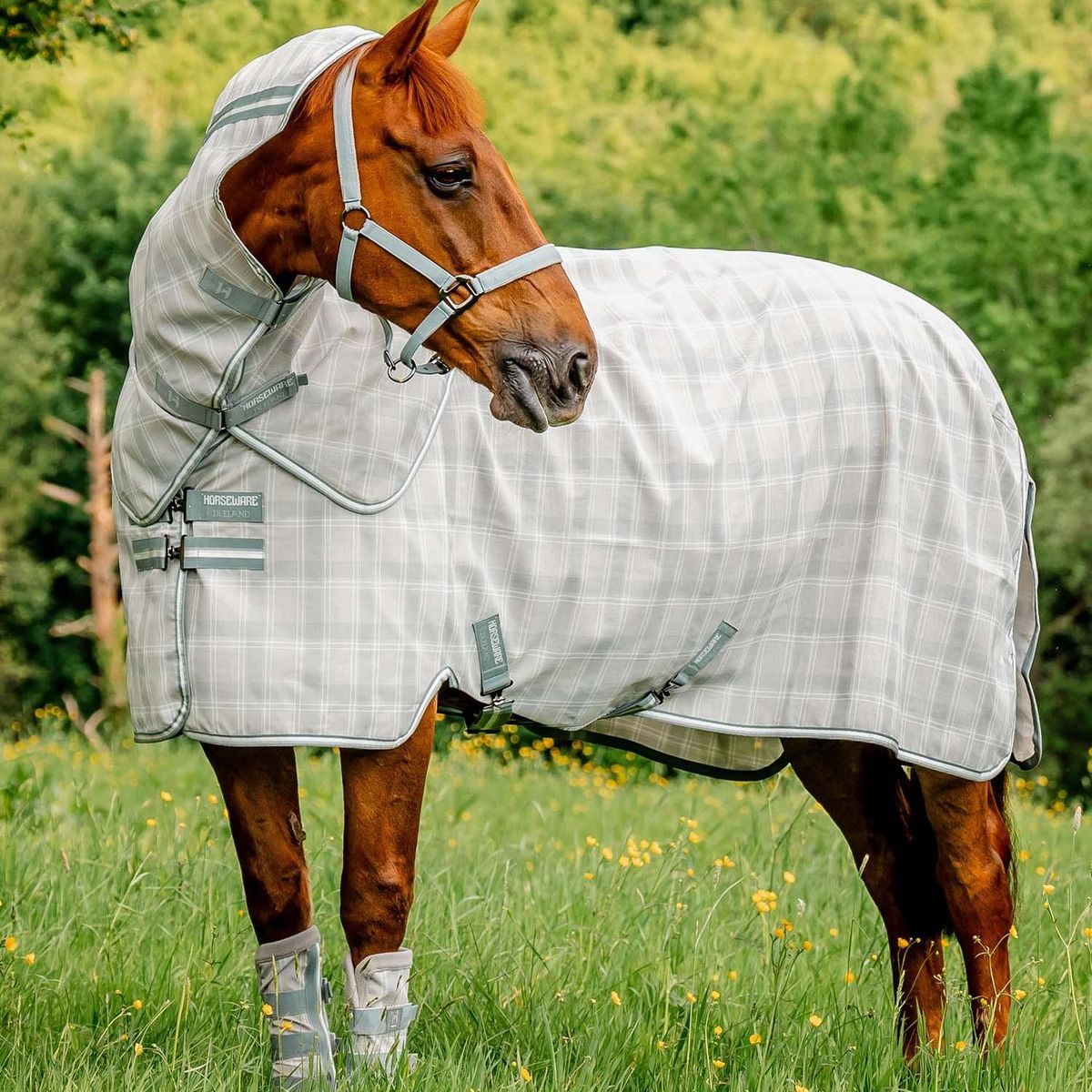 Horseware Newmarket Plus Fly Sheet 
