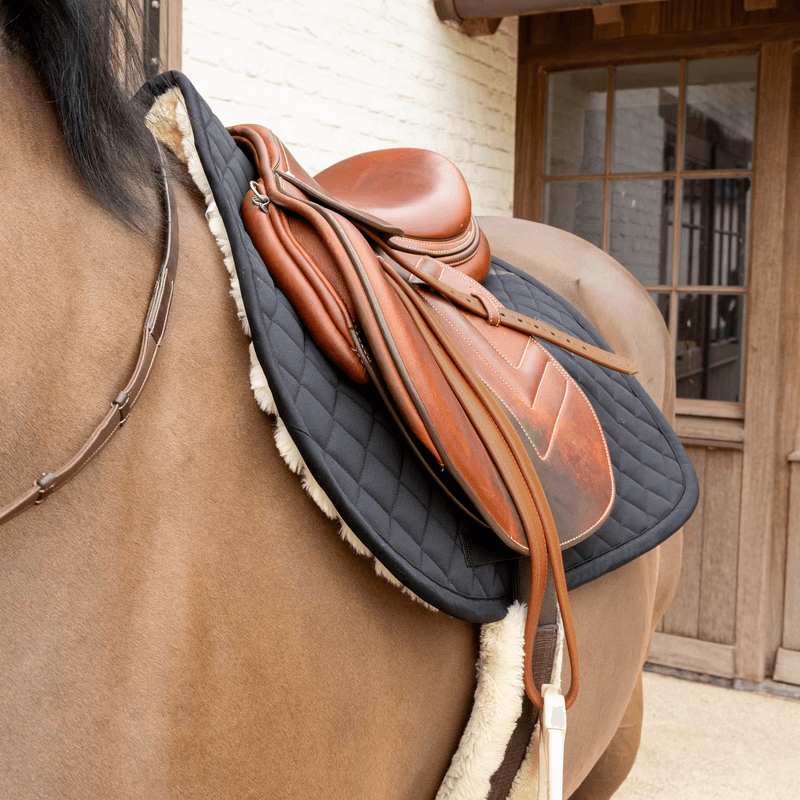 Kentucky Skin Friendly Diamond Sprang Schabrack