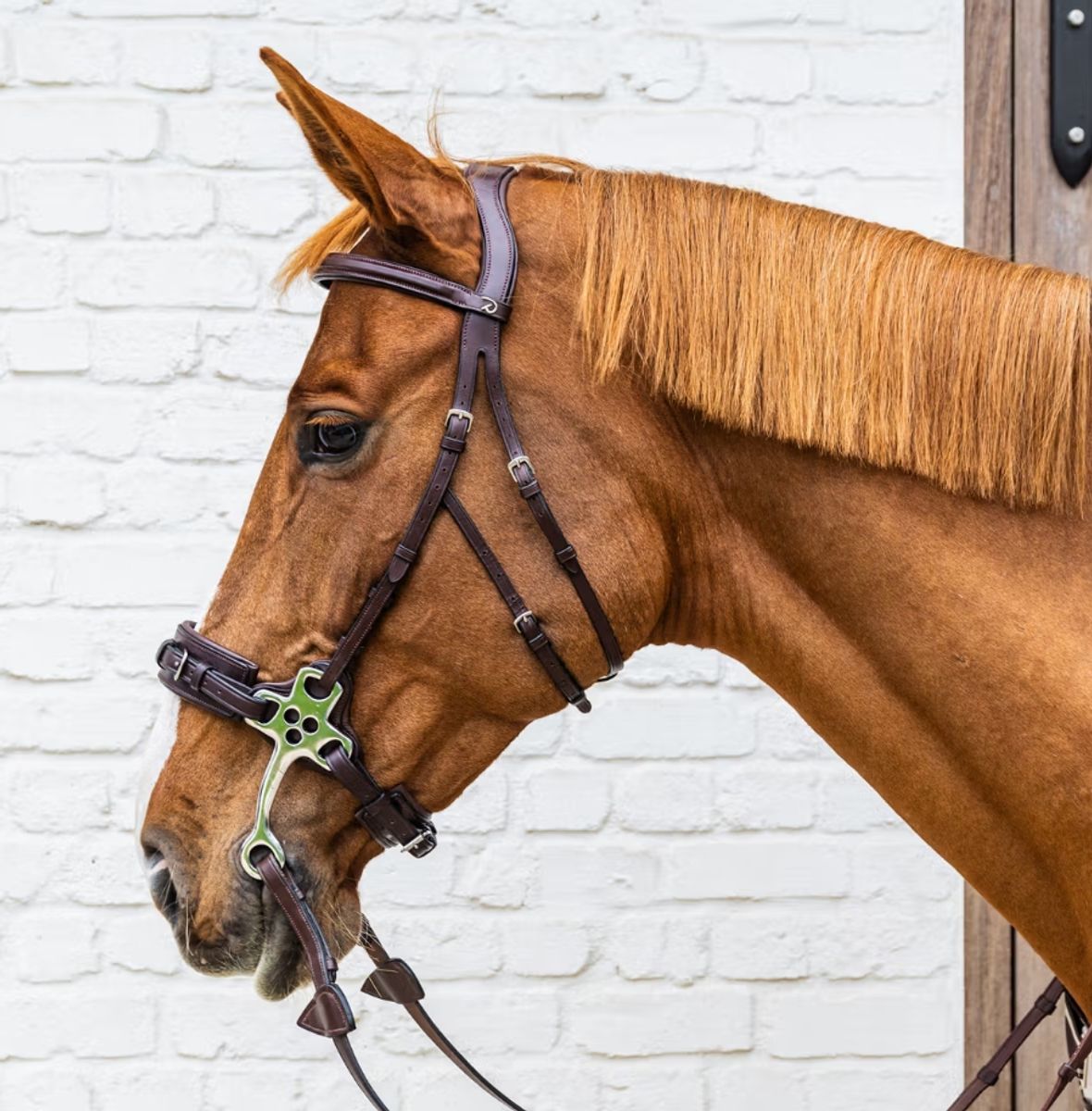 Dyon Hackamore hodelag NE Collection