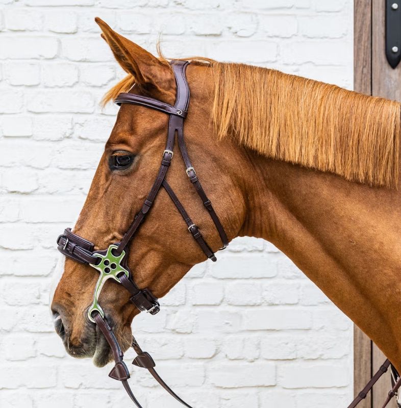 Dyon Hackamore hodelag NE Collection