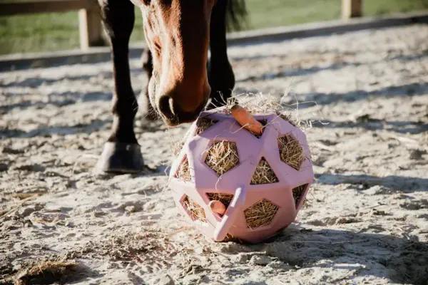 Hovedbilde Kentucky Relax Horse Play & Hay Ball