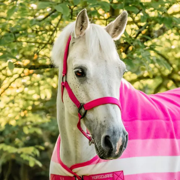 Bilde av Horseware Newmarket Grime & Leietu - Witney Pink