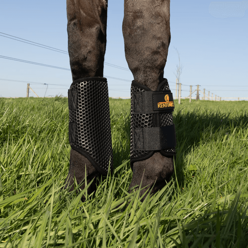 Kentucky Turnout Boots ProAir