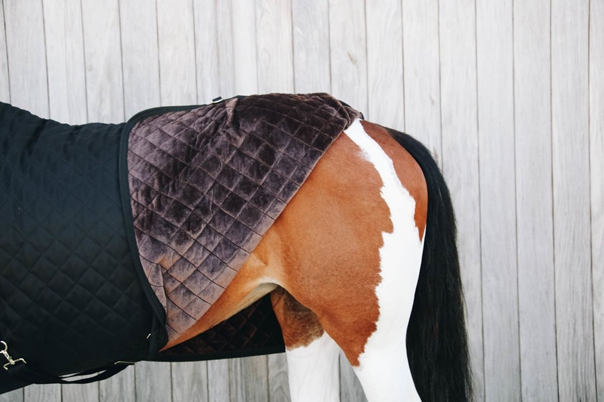 Kentucky Show Rug 160gr