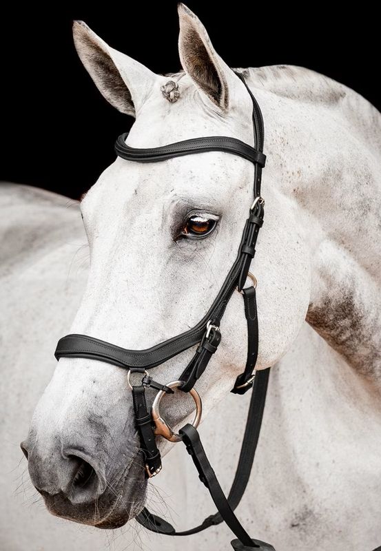 Horseware Micklem Multi Hodelag 
