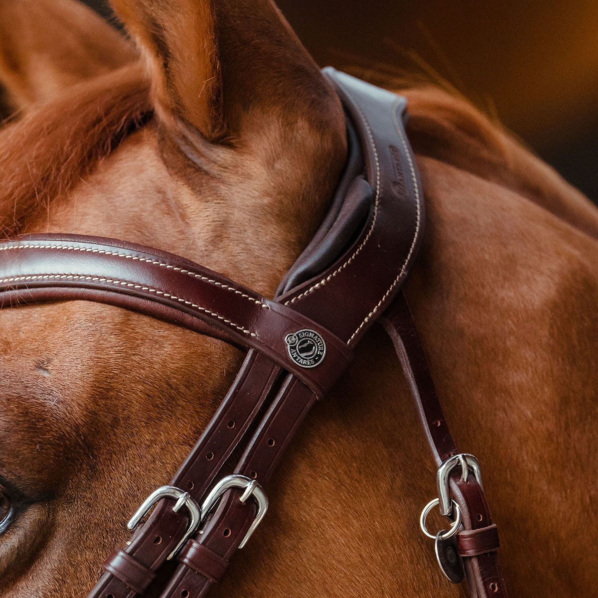 Antares Signature Sport Hodelag