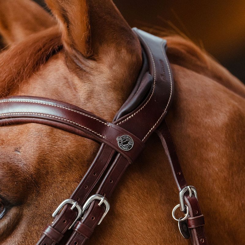 Antares Signature Sport Hodelag