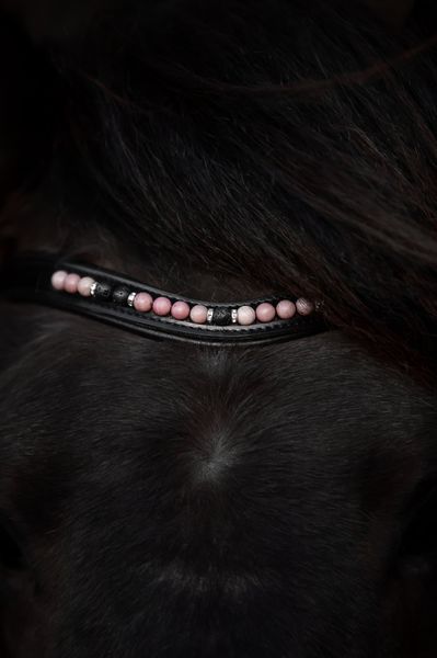 Hovedbilde Top Reiter Orka Nakkereim - Rosa