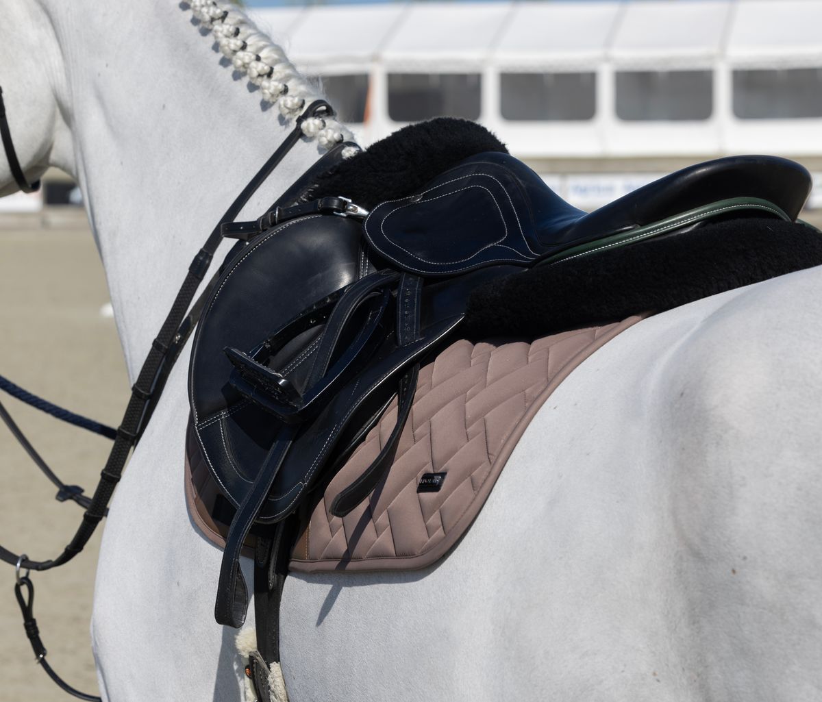 KLLexie Sprang Schabrack